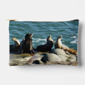 San Diego Sea Lions Etui (Voorkant)