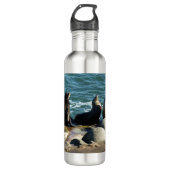 San Diego Sea Lions Waterfles (Voorkant)