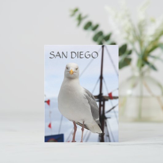 San Diego, Seagull en Boat Briefkaart (Staand voorkant)