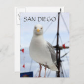 San Diego, Seagull en Boat Briefkaart (Voorkant / Achterkant)