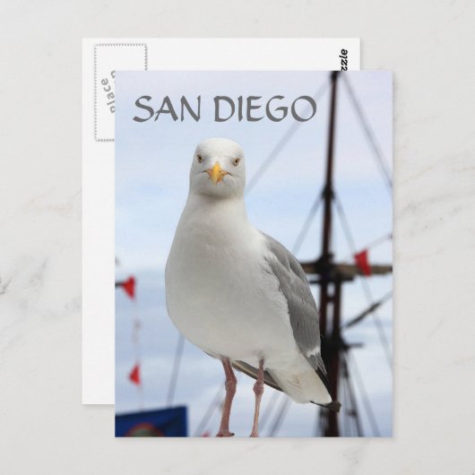 San Diego, Seagull en Boat Briefkaart (Voorkant / Achterkant)