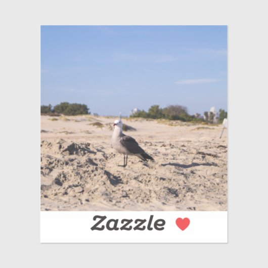 San Diego Seagull Sticker (Vel)