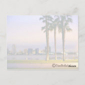 San Diego Shoreline Briefkaart (Achterkant)