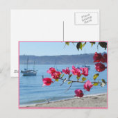San Diego strand Briefkaart (Voorkant / Achterkant)