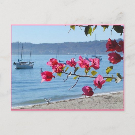 San Diego strand Briefkaart (Voorkant)