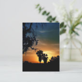 San Diego Sunset Briefkaart (Staand voorkant)
