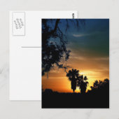 San Diego Sunset Briefkaart (Voorkant / Achterkant)