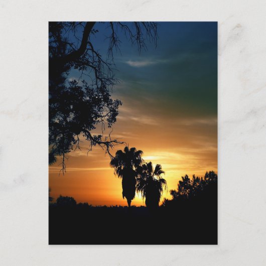 San Diego Sunset Briefkaart (Voorkant)