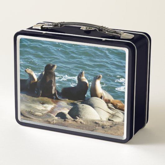 San Diego Zee Lions (Achterkant)