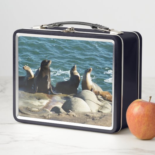 San Diego Zee Lions (In situ)