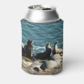 San Diego Zee Lions Blikjeskoeler (Blikje Achterkant)