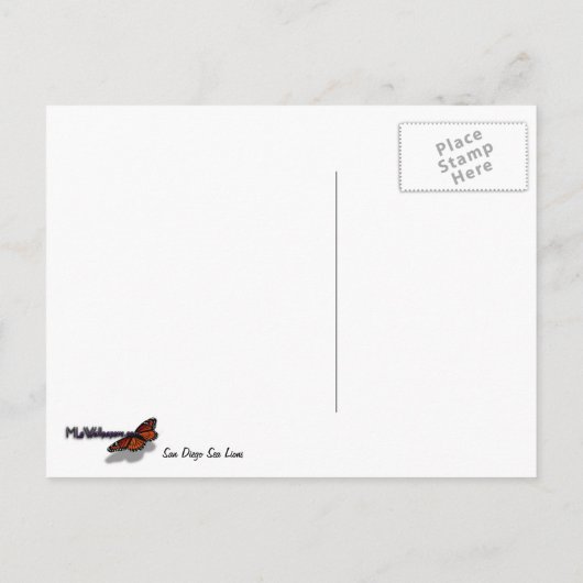 San Diego Zee Lions Briefkaart (Achterkant)