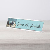 San Diego Zee Lions Bureau Naambordje (Voorkant)