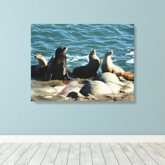 San Diego Zee Lions Canvas Afdruk (Insitu (Houten vloer))