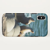 San Diego Zee Lions Case-Mate iPhone Case (Achterkant (horizontaal))