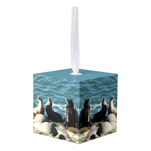 San Diego Zee Lions Decoratie (Achter hoekig)