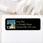 San Diego Zee Lions Etiket (Insitu)