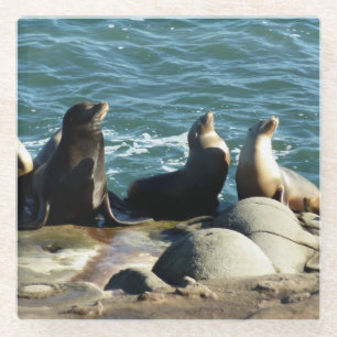 San Diego Zee Lions Glazen Onderzetter