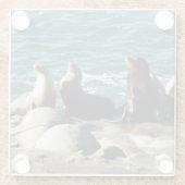 San Diego Zee Lions Glazen Onderzetter (Achterkant)