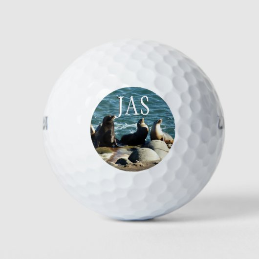 San Diego Zee Lions Golfballen (Voorkant)