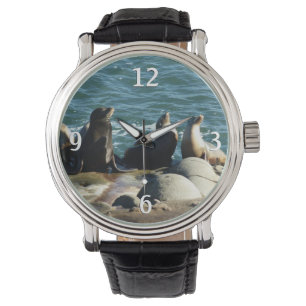 San Diego Zee Lions Horloge