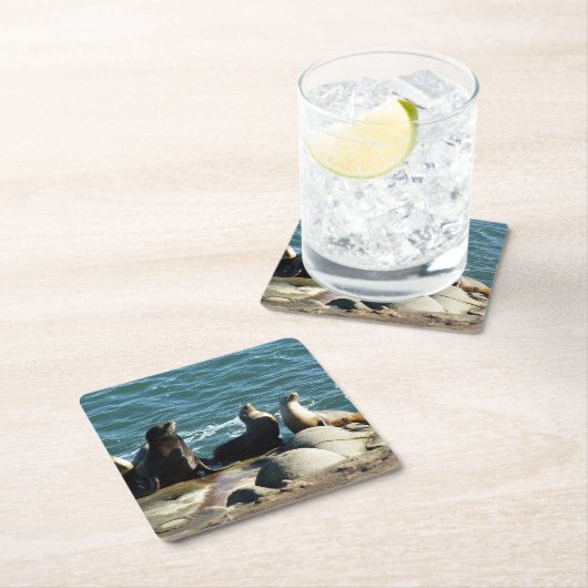 San Diego Zee Lions Kartonnen Onderzetters (Insitu)