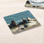 San Diego Zee Lions Kartonnen Onderzetters (Schuin)