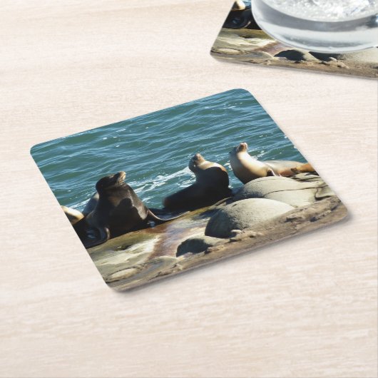 San Diego Zee Lions Kartonnen Onderzetters (Schuin)