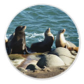 San Diego Zee Lions Keramische Knop (Voorkant)