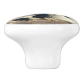 San Diego Zee Lions Keramische Knop (Zijkant)