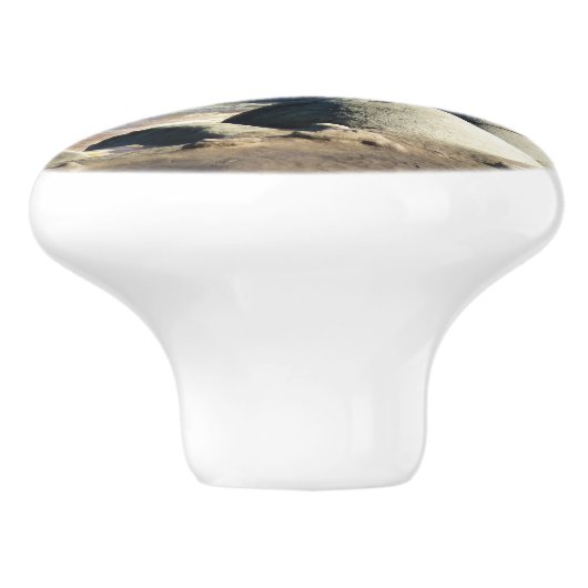 San Diego Zee Lions Keramische Knop (Zijkant)