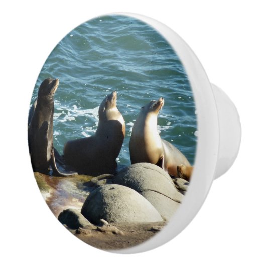 San Diego Zee Lions Keramische Knop (Rechts)