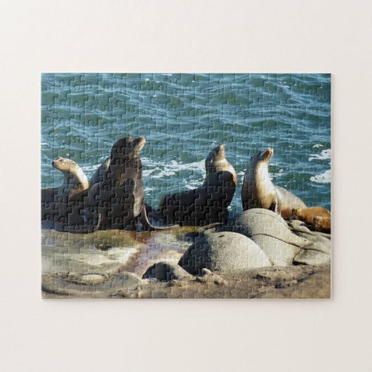 San Diego Zee Lions Legpuzzel (Horizontaal)