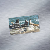 San Diego Zee Lions Magnetisch Visitekaartje (Voorbeeld)