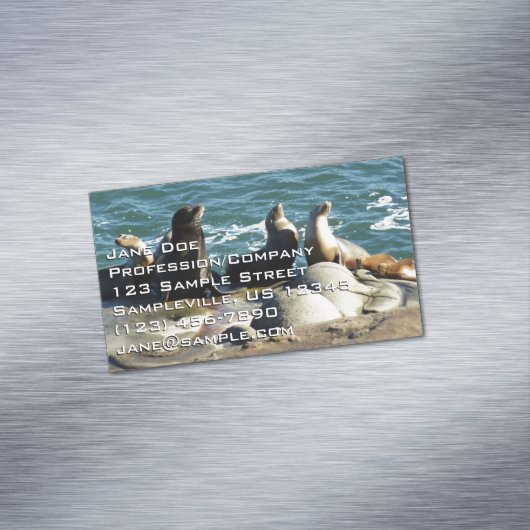 San Diego Zee Lions Magnetisch Visitekaartje (Voorbeeld)