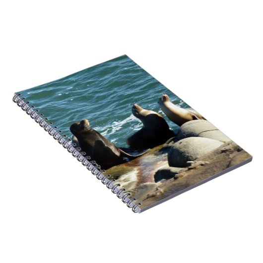 San Diego Zee Lions Notitieboek (Rechterzijde)