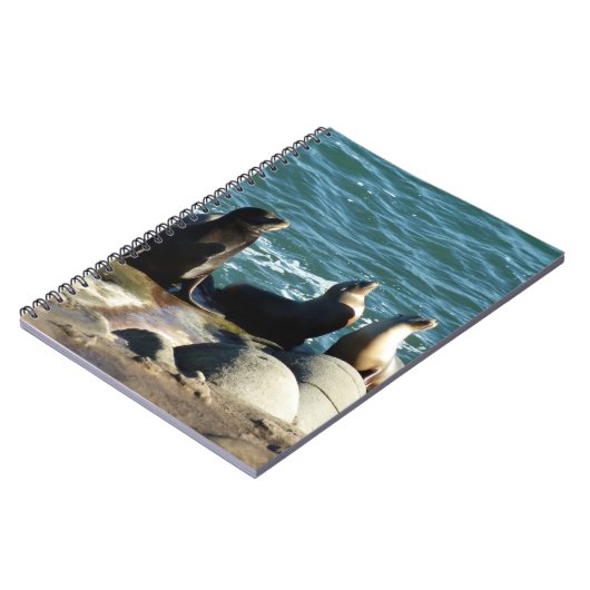 San Diego Zee Lions Notitieboek (Linkerzijde)