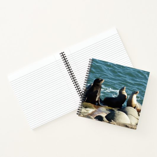 San Diego Zee Lions Notitieboek (Binnen)