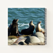 San Diego Zee Lions Notitieboek (Achterkant)