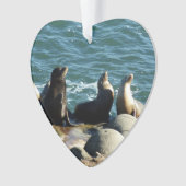 San Diego Zee Lions Ornament (voorkant)