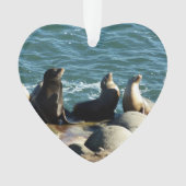 San Diego Zee Lions Ornament (voorkant)