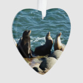 San Diego Zee Lions Ornament (voorkant)