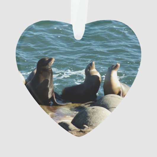 San Diego Zee Lions Ornament (achterkant)