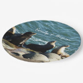 San Diego Zee Lions Papieren Bordje (Gekanteld)