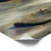 San Diego Zee Lions Perfect Poster (Hoek)