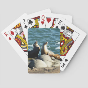 San Diego Zee Lions Pokerkaarten
