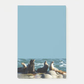 San Diego Zee Lions Post-it® Notes (Voorkant)