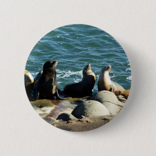 San Diego Zee Lions Ronde Button 5,7 Cm
