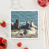 San Diego Zee Lions Servet (Insitu)