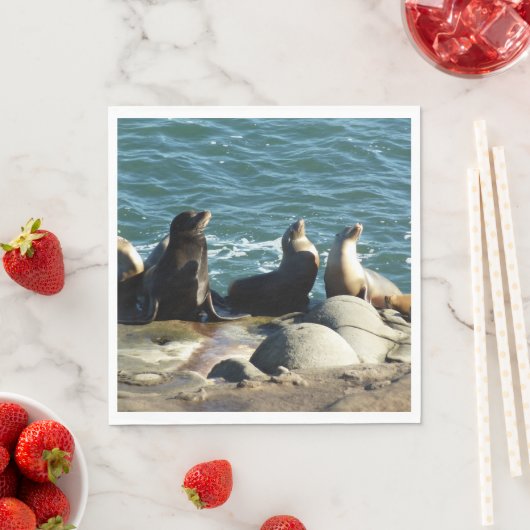 San Diego Zee Lions Servet (Insitu)